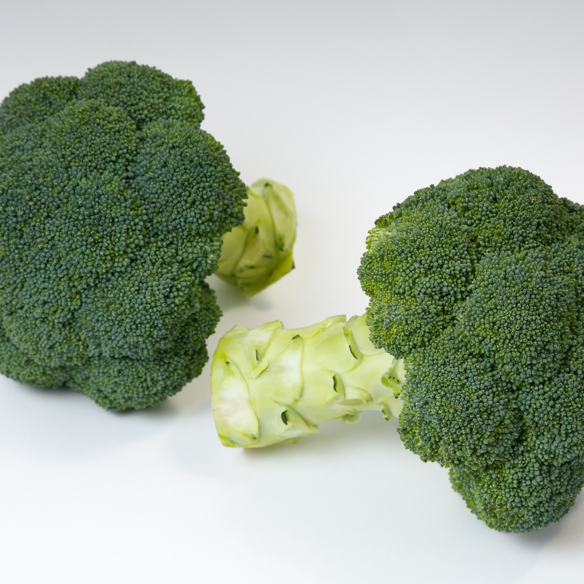 Appalachian Broccoli Hybrid
