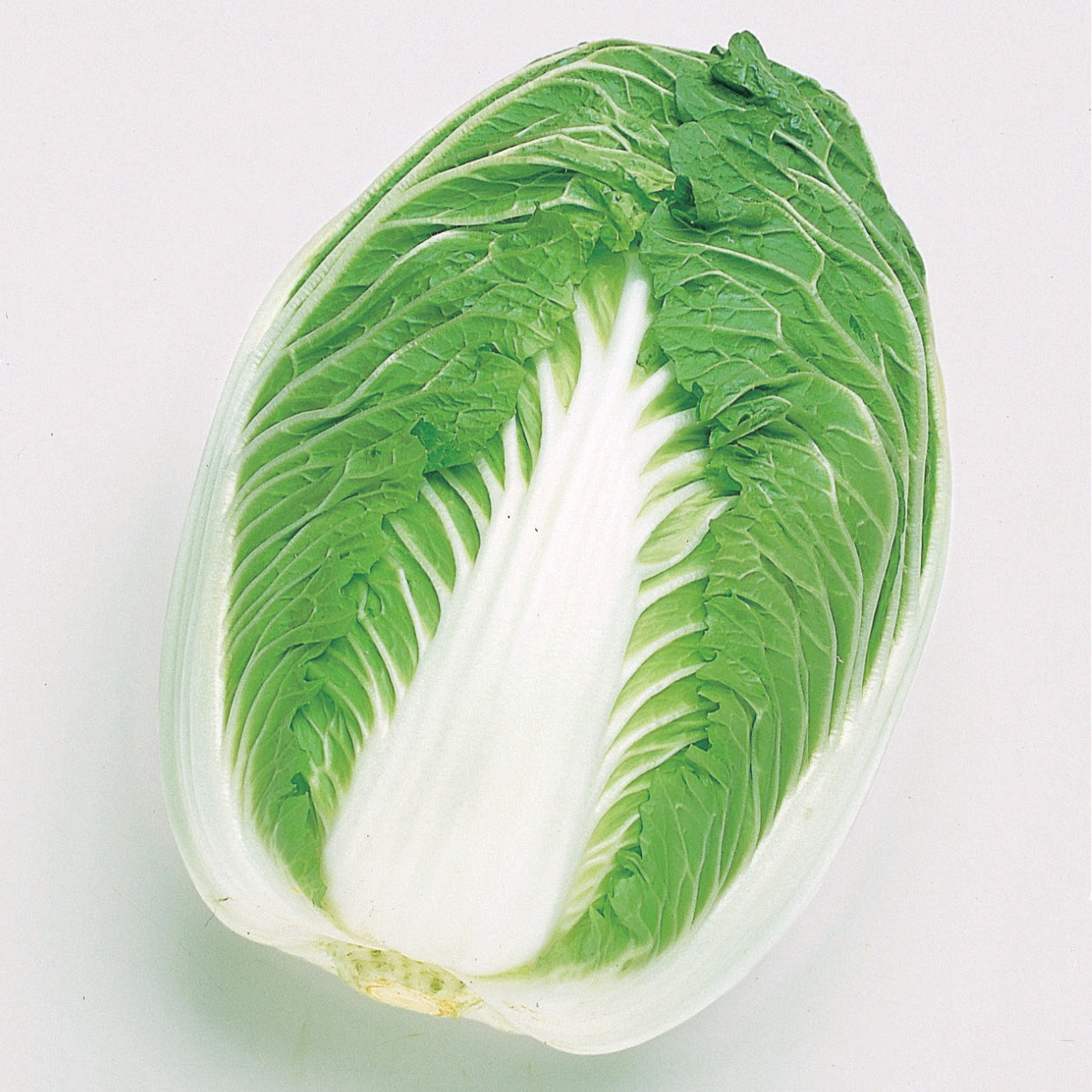 Blues (Chinese) Cabbage Hybrid