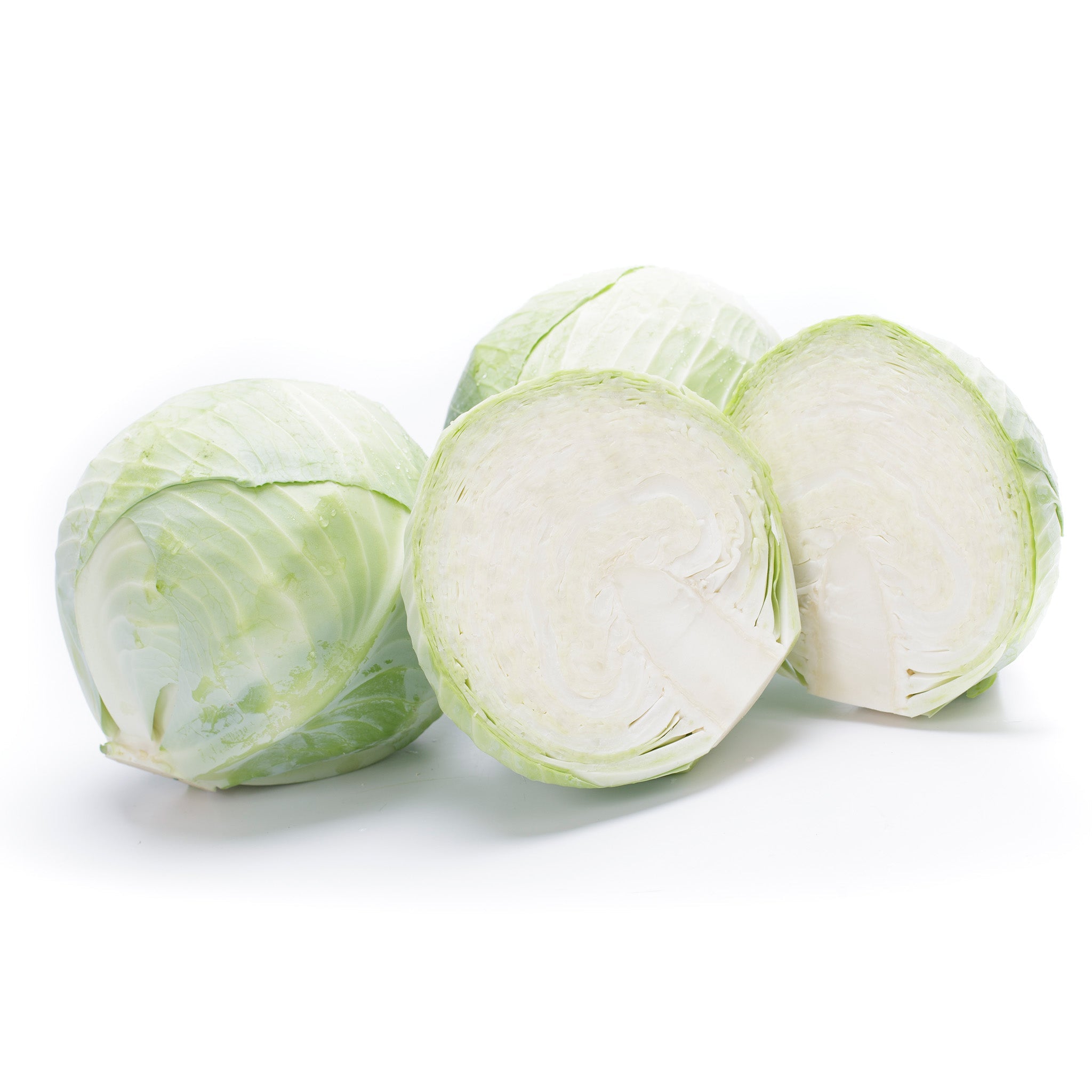 Axioma Cabbage Hybrid