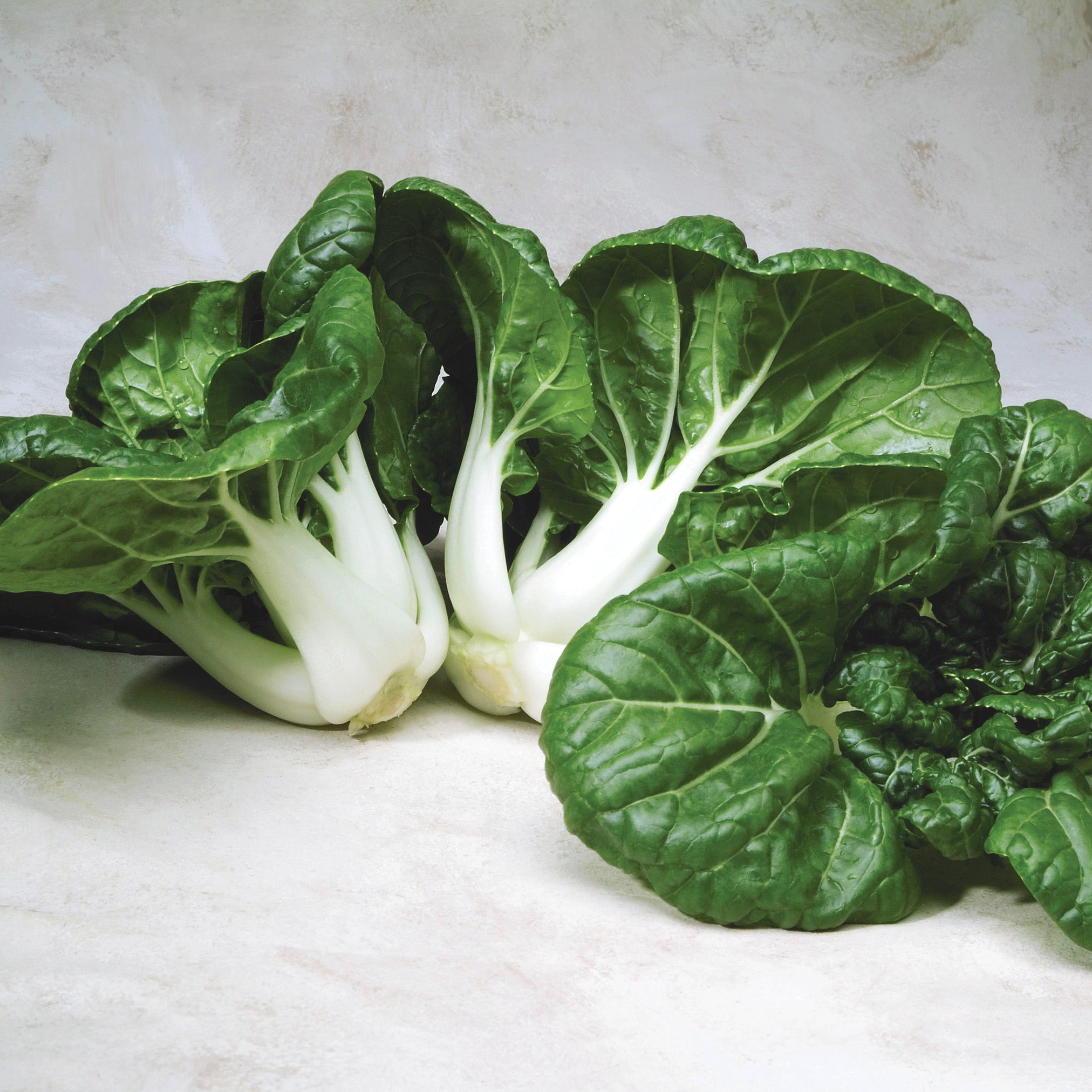 Toy Choy (Chinese) Pak Choi Hybrid