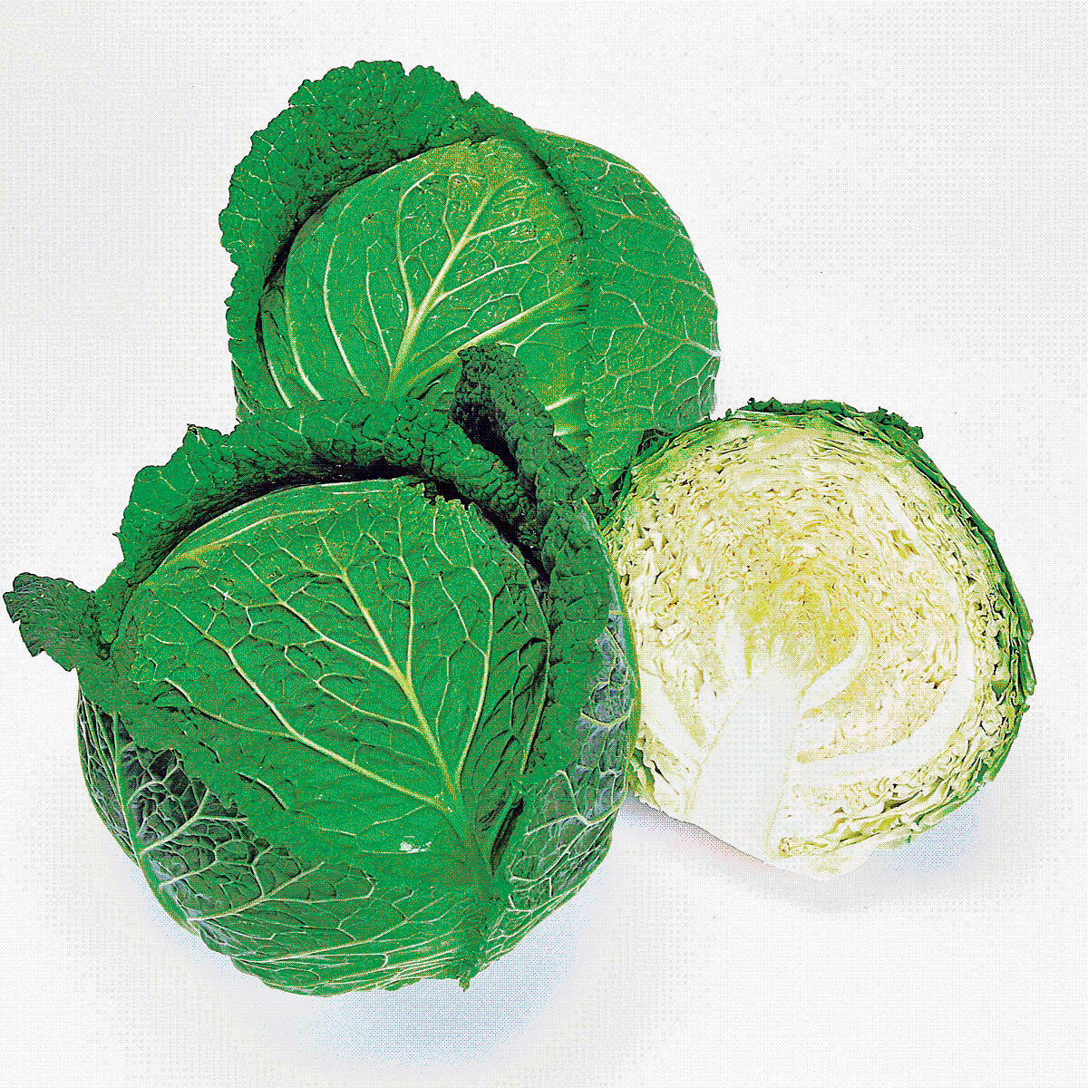 Savoy Ace Improved Cabbage Hybrid