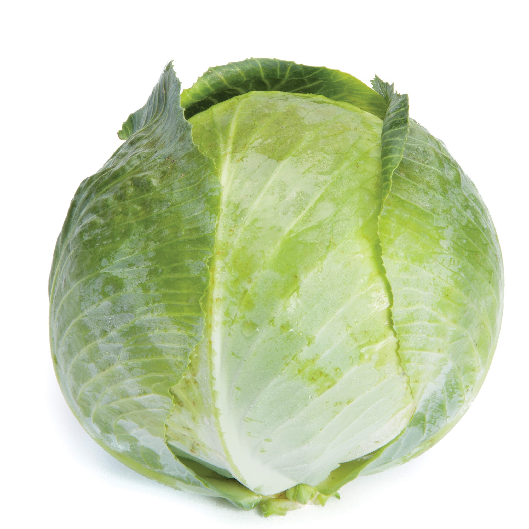 Flexima Cabbage Hybrid