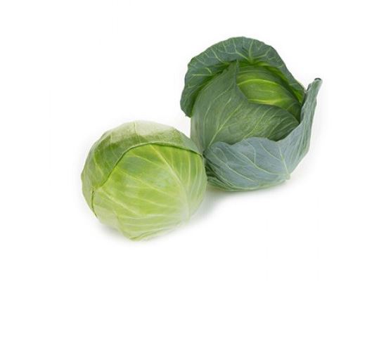 Swingma Cabbage Hybrid