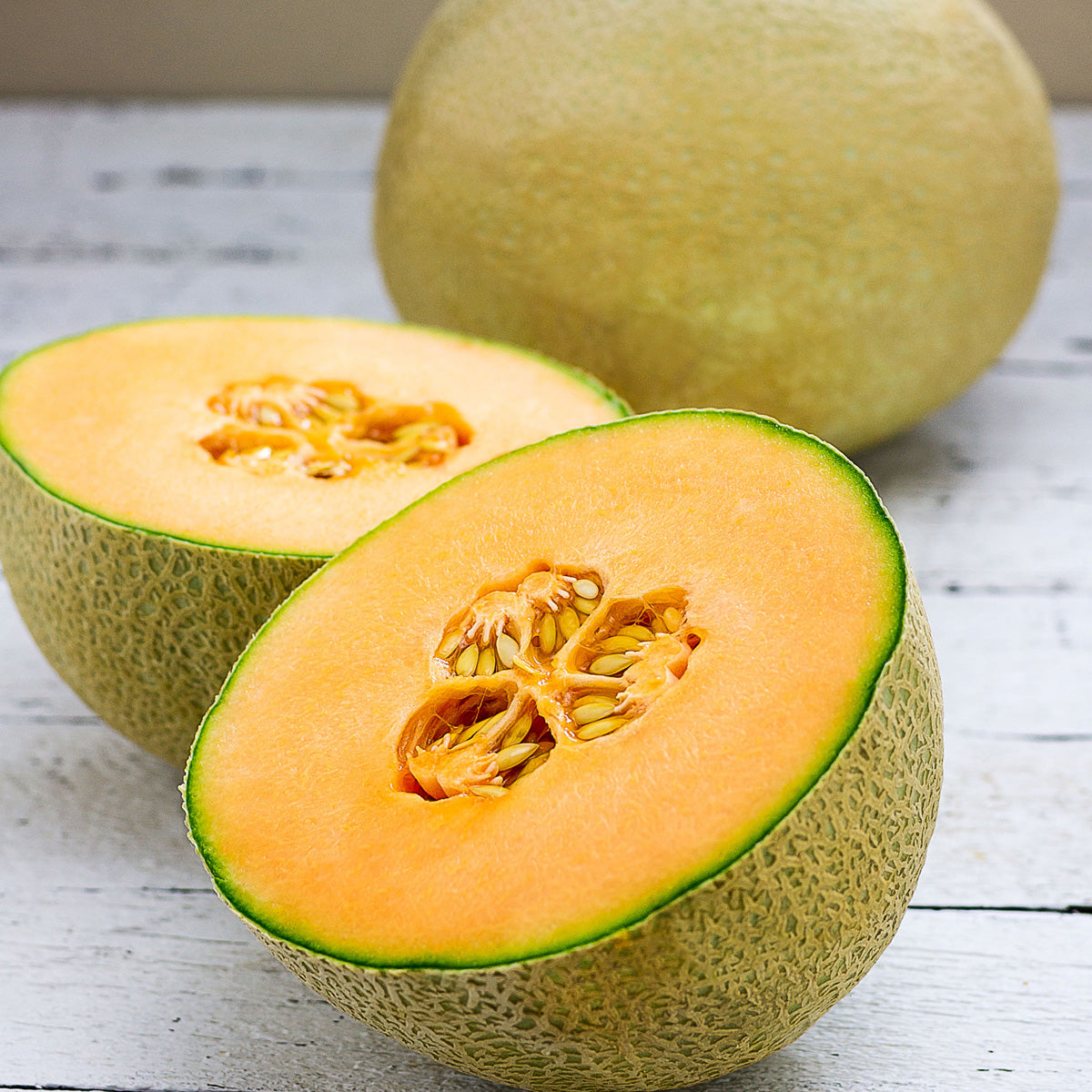 Infinite Gold Melon Cantaloupe Hybrid