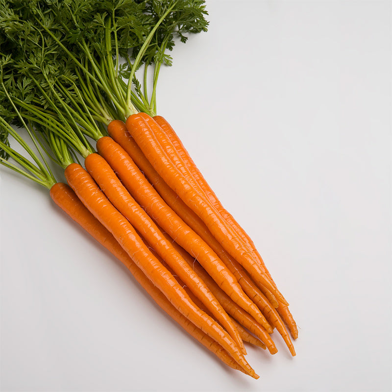 Uppercut 25 Carrot Hybrid