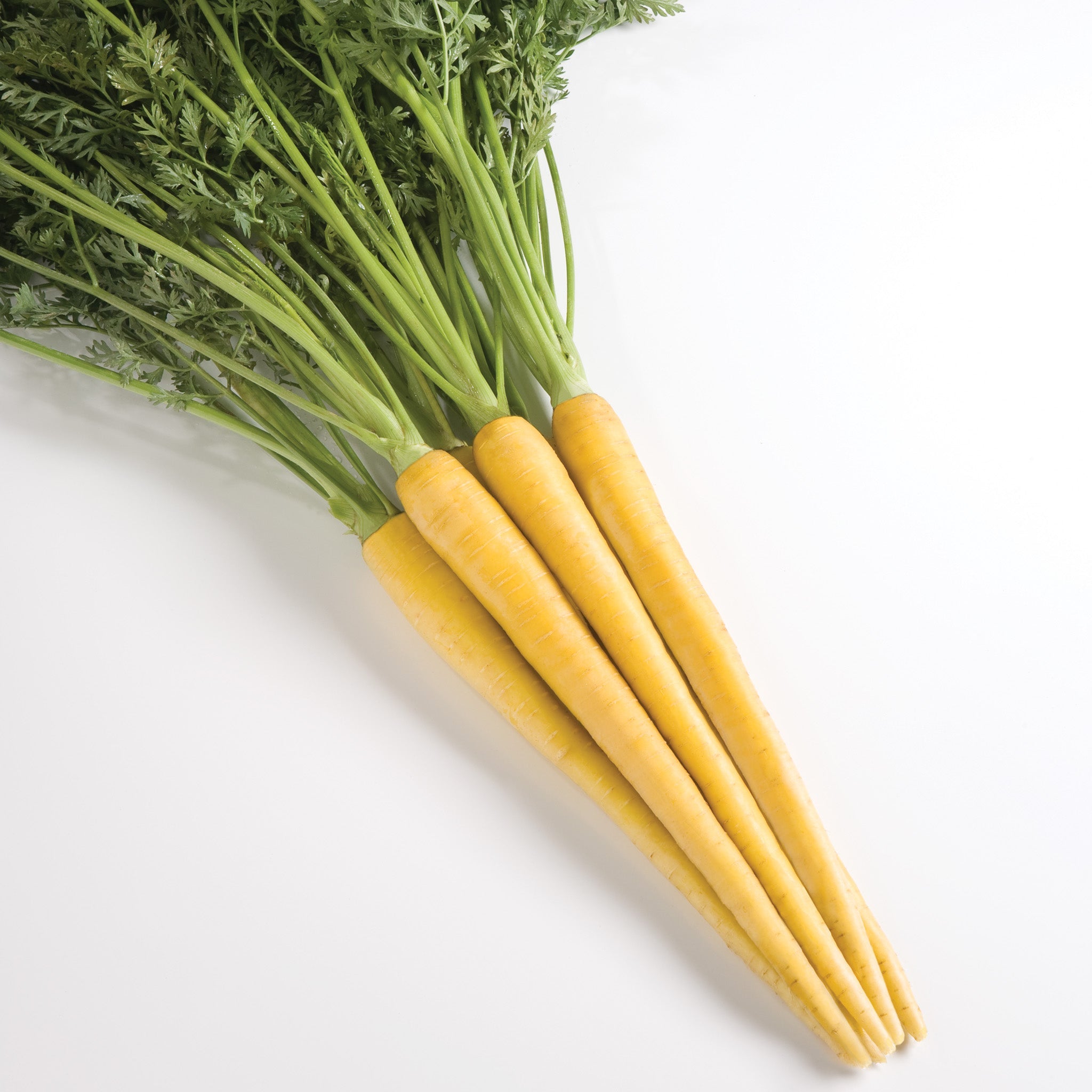 Yellowbunch Carrot Hybrid