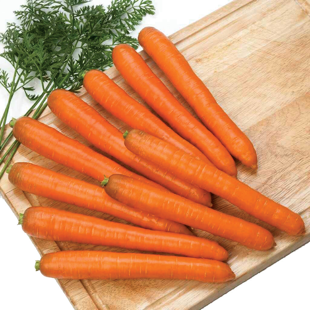 Crofton Carrot Hybrid