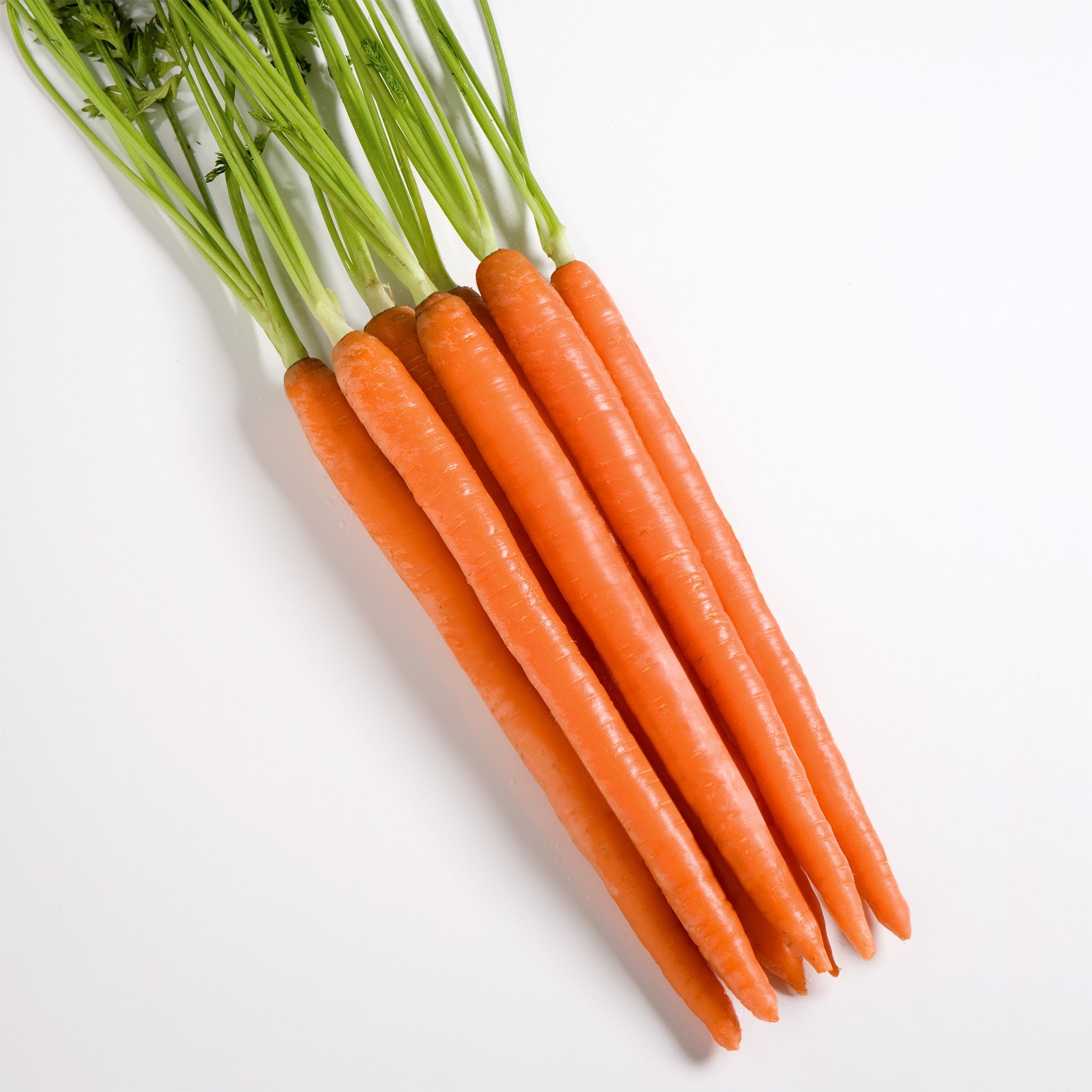 Honeysnax Carrot Hybrid