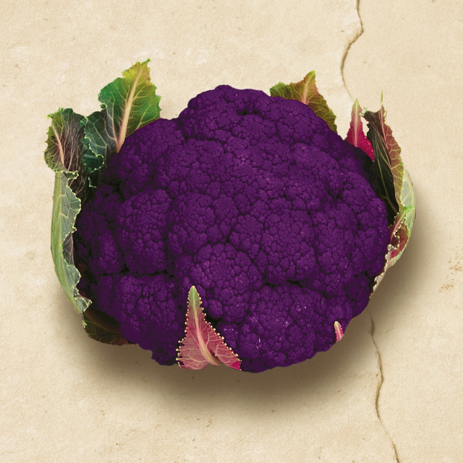 Graffiti Cauliflower Hybrid