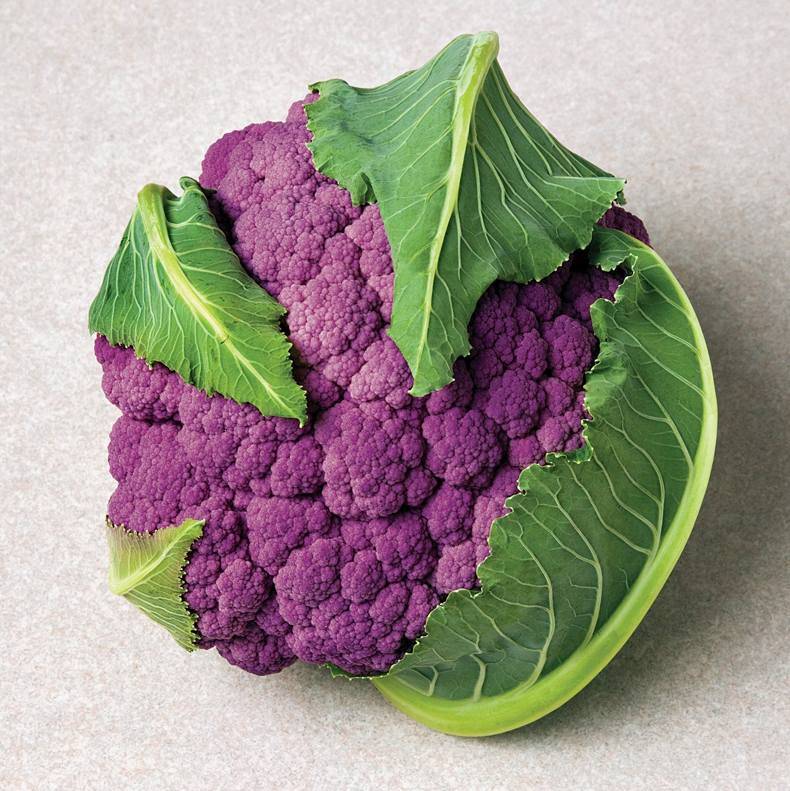 Depurple Cauliflower Hybrid
