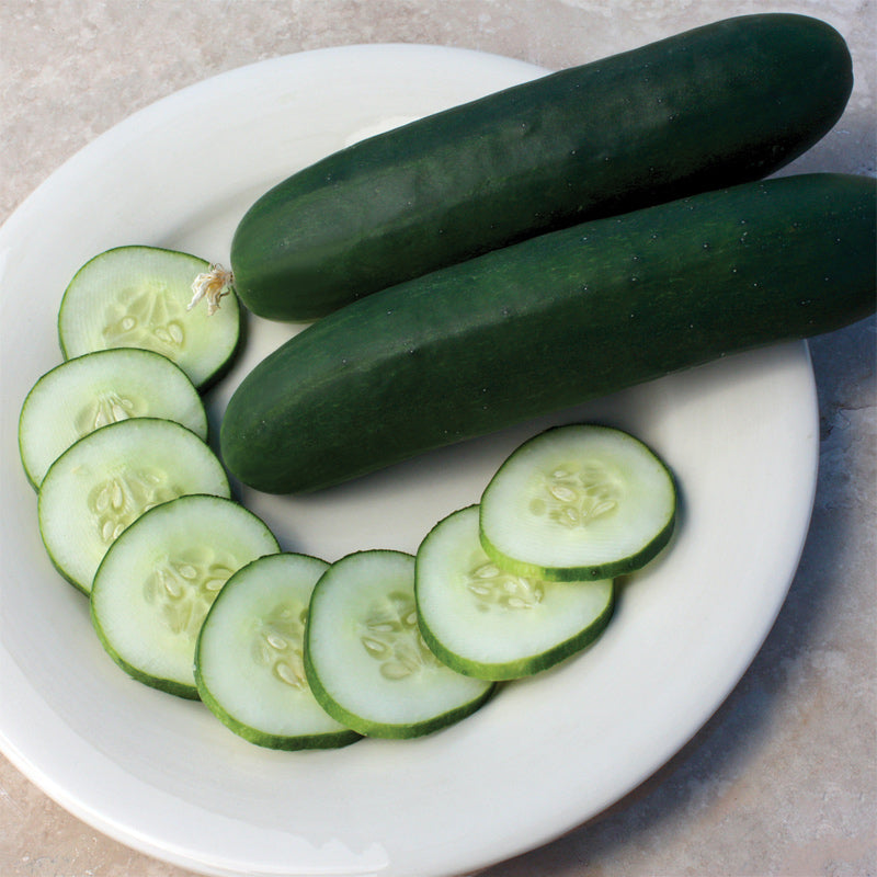Slice More Cucumber Hybrid