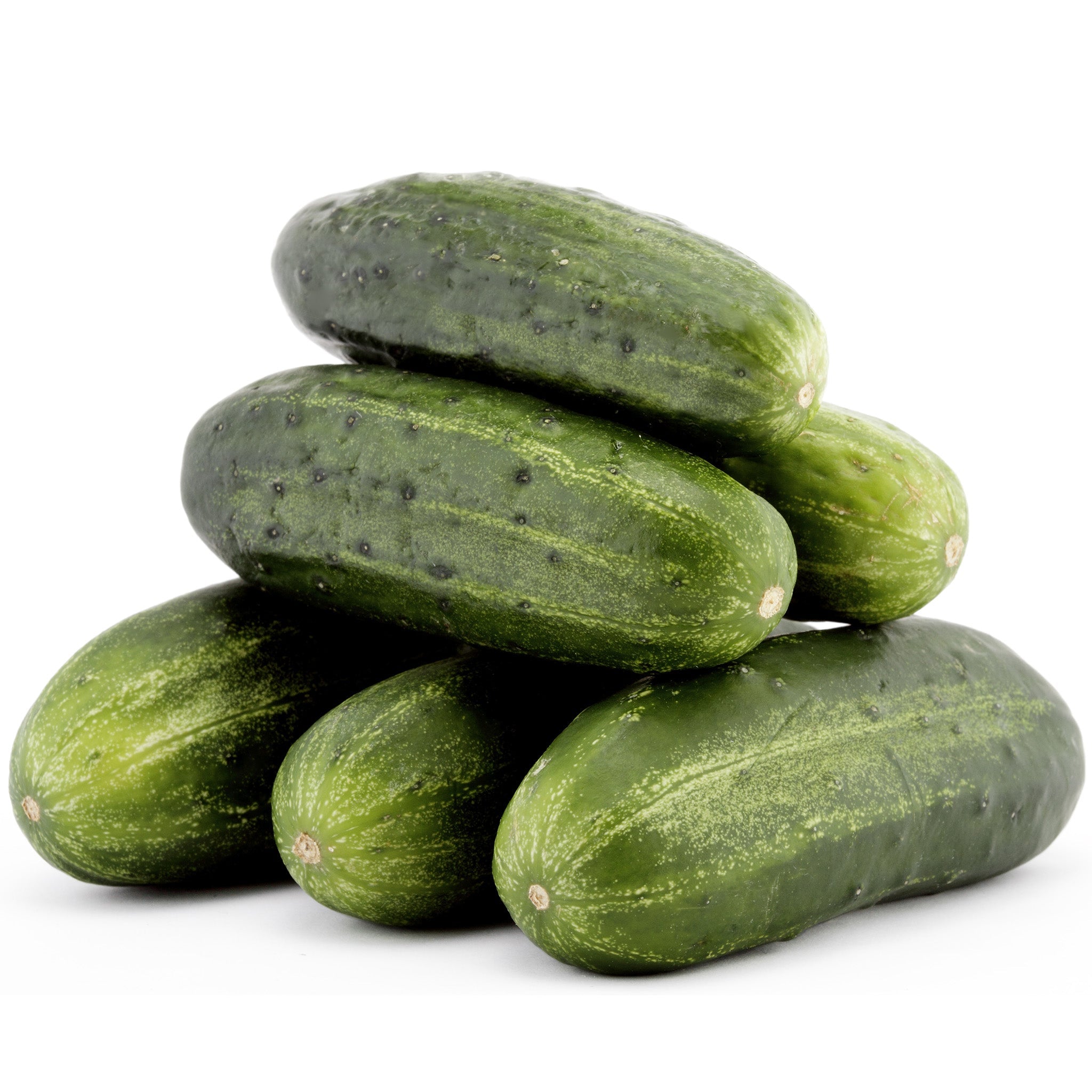 Marcial Cucumber Hybrid