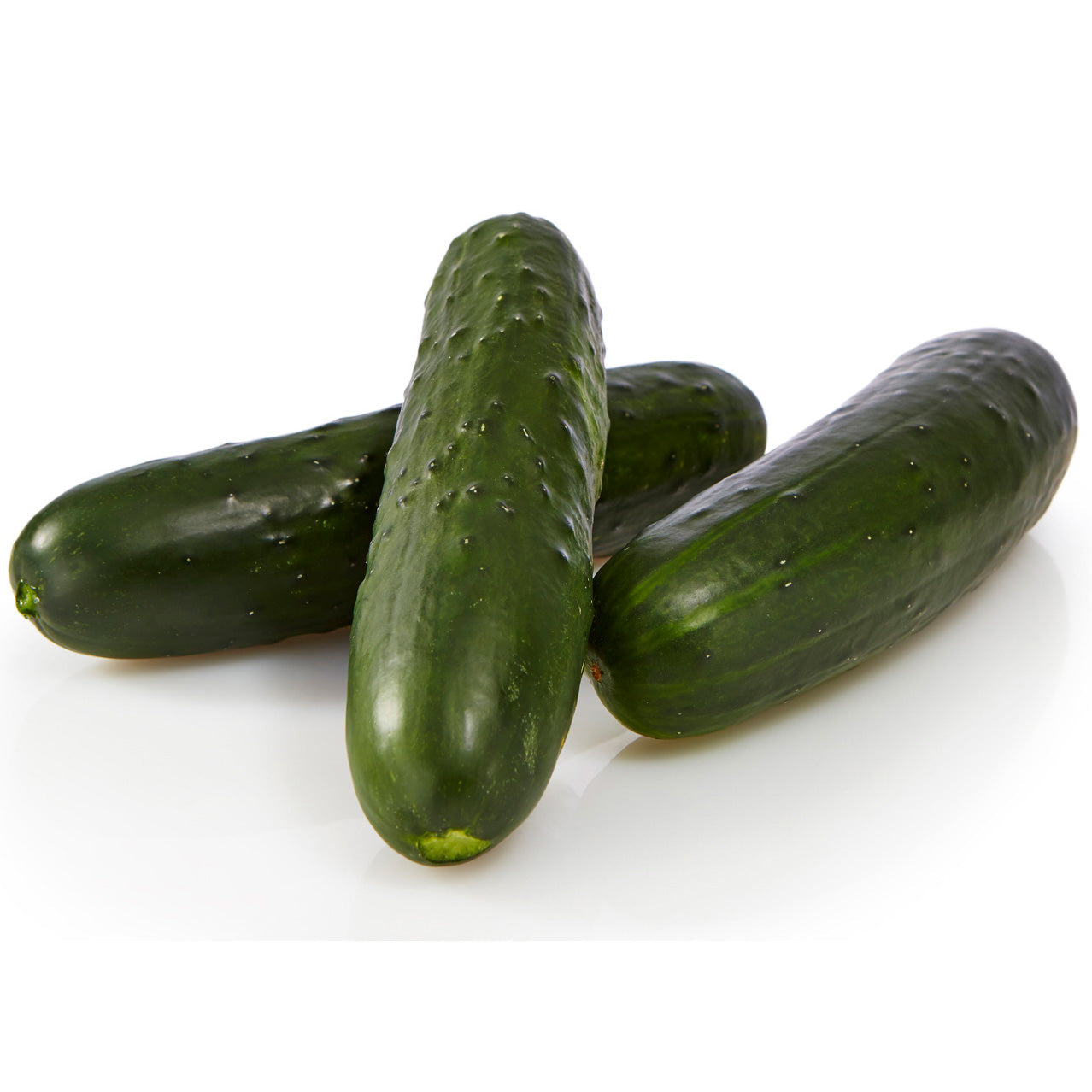 Bristol Cucumber Hybrid