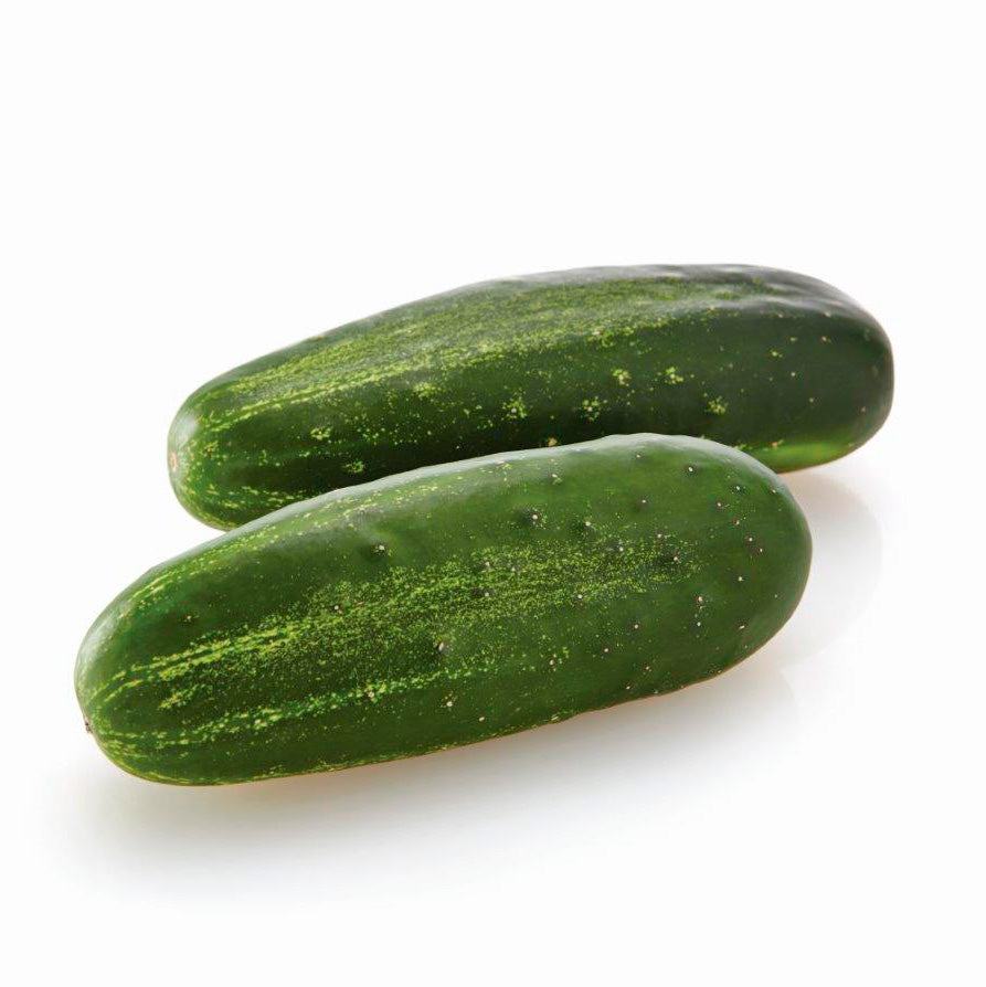 Citadel (Pickling) Cucumber Hybrid