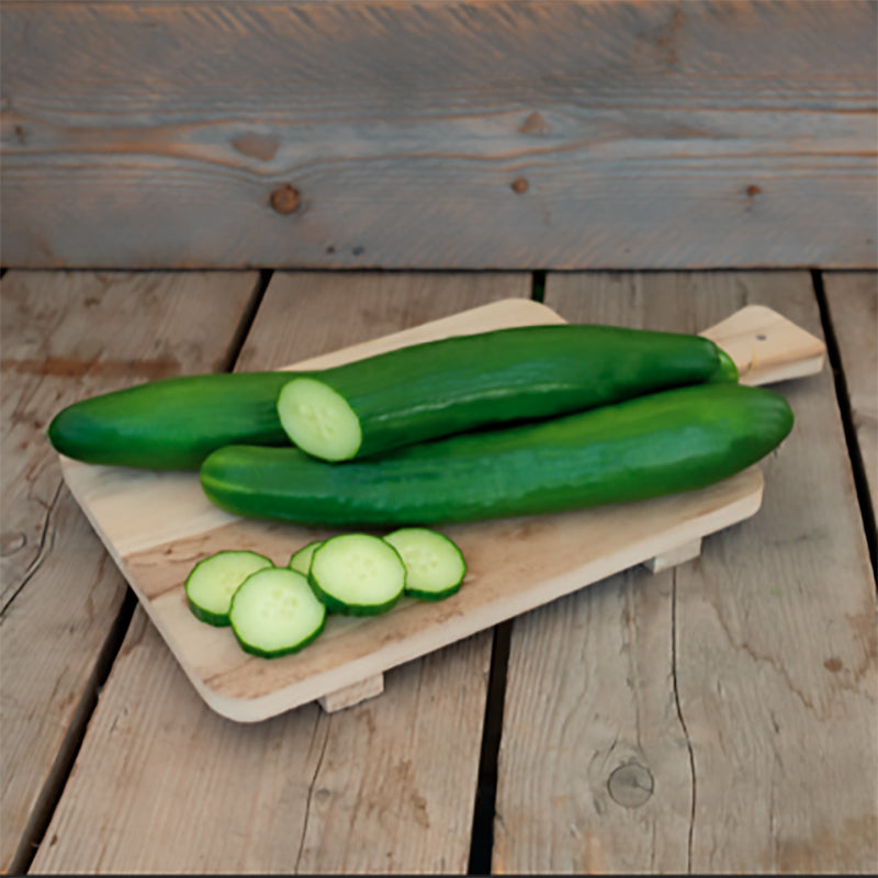 English Telegraph Untreated Cucumber