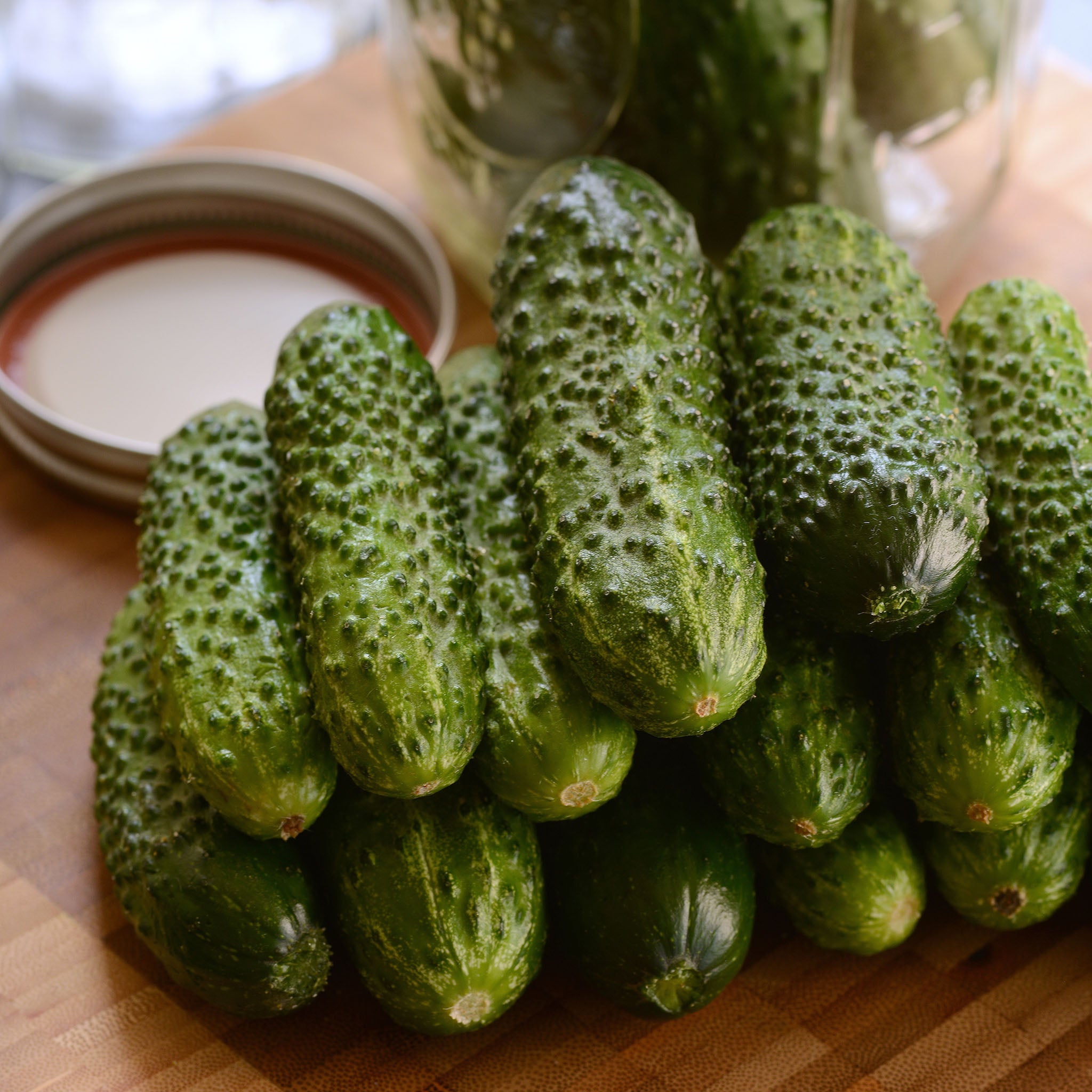 Gherking Untreated Cucumber Hybrid
