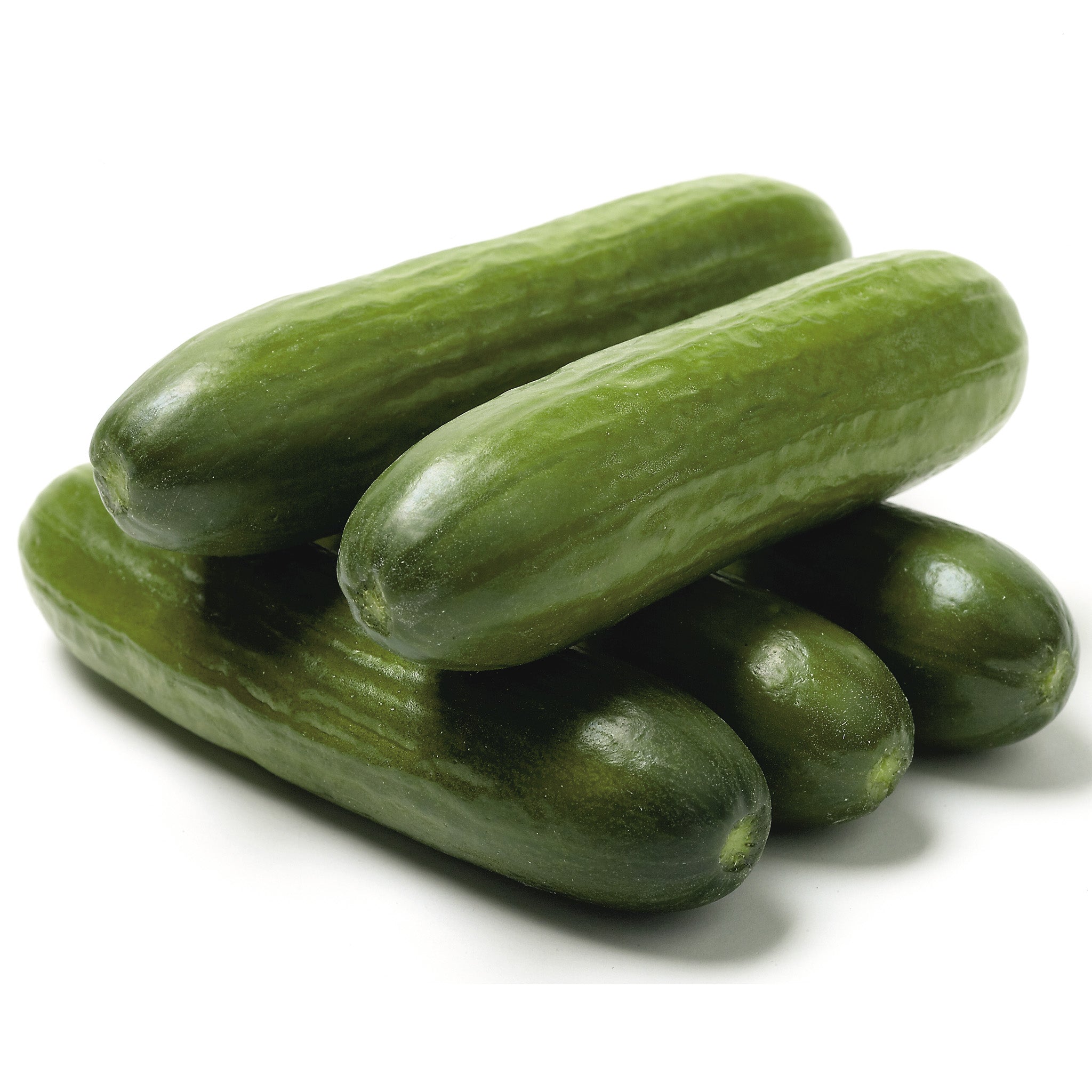 Jawell (Greenhouse) Cucumber Hybrid