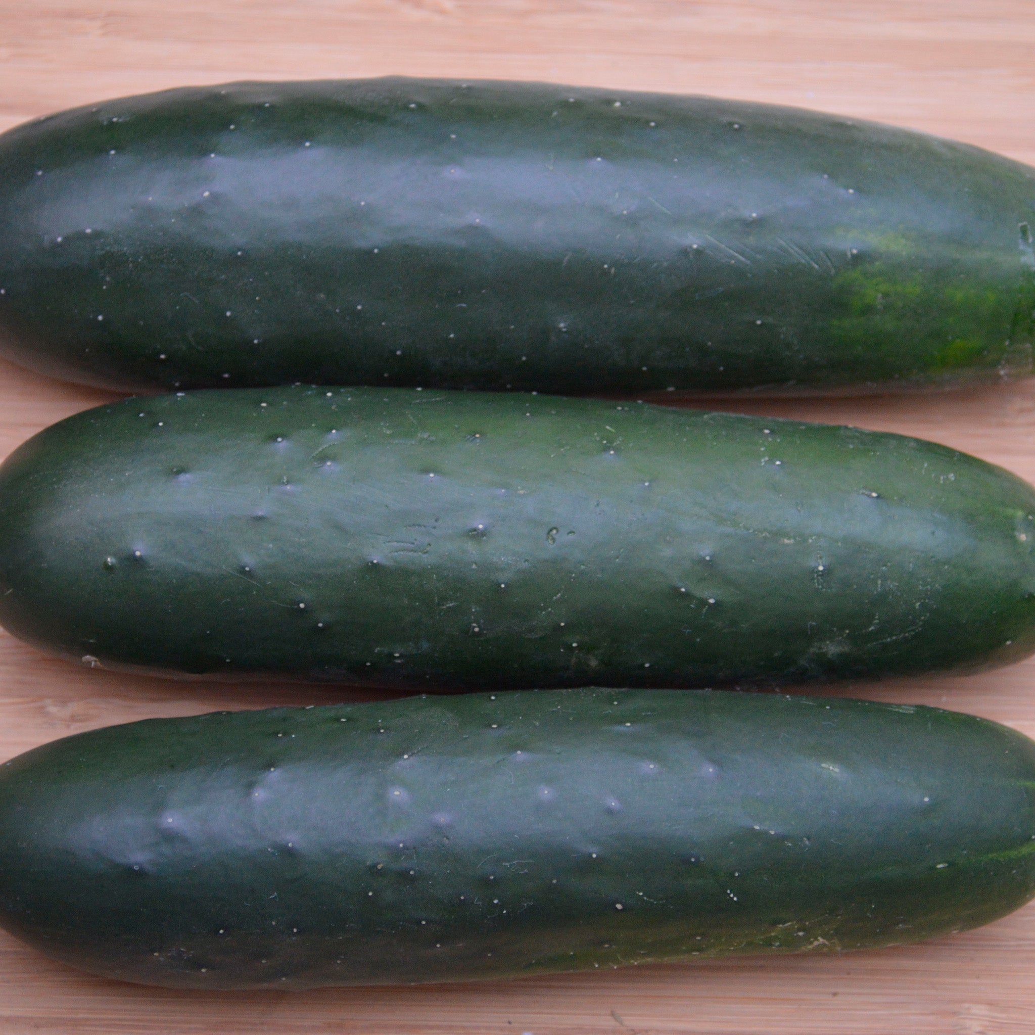 Brickyard Cucumber Hybrid