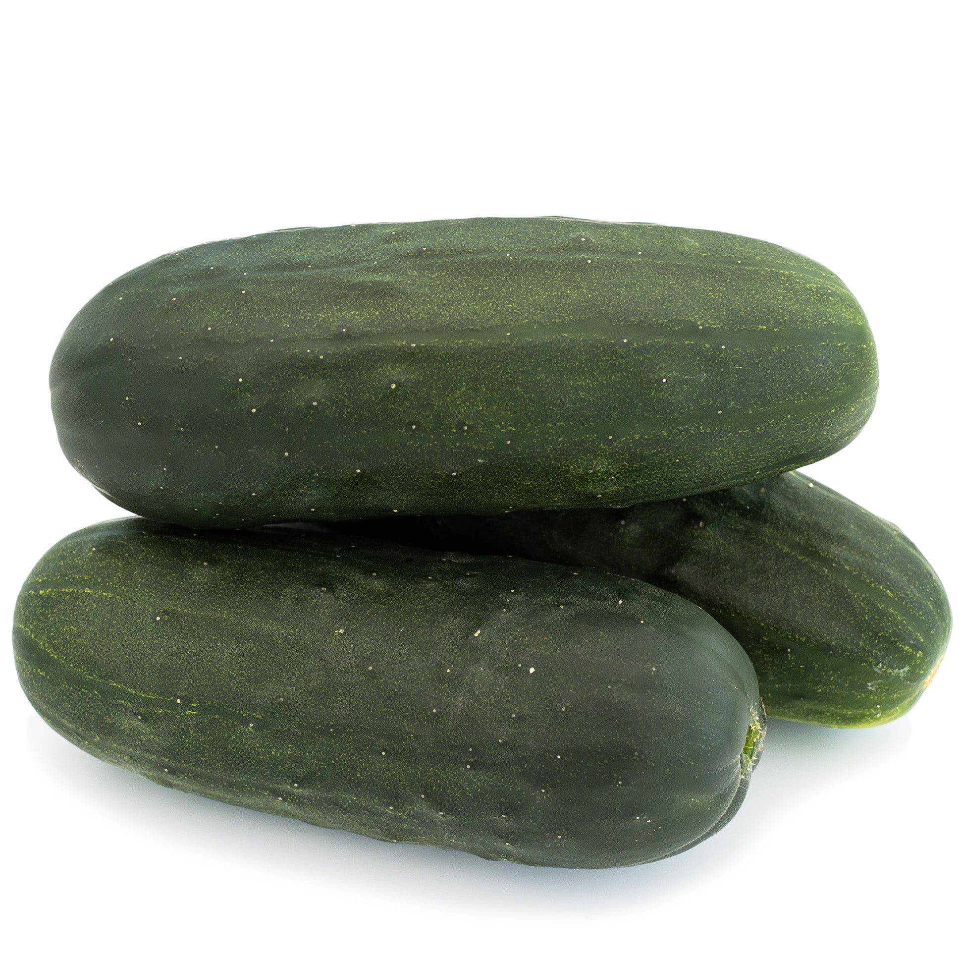 Espirit Cucumber Hybrid