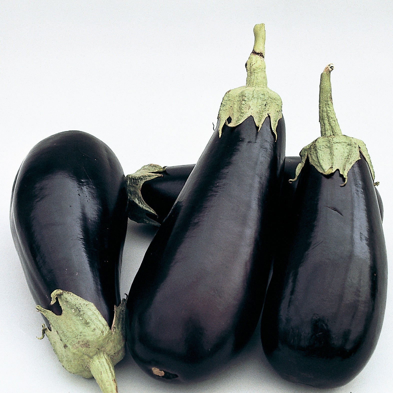 Classic Eggplant Hybrid