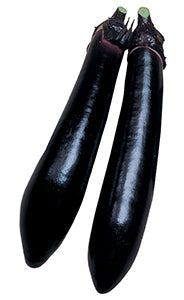 Millionaire Eggplant Hybrid