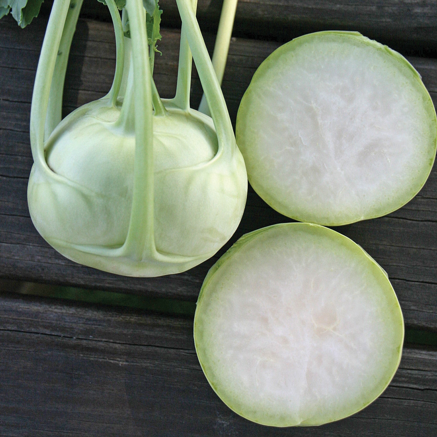 Konan Kohlrabi Hybrid