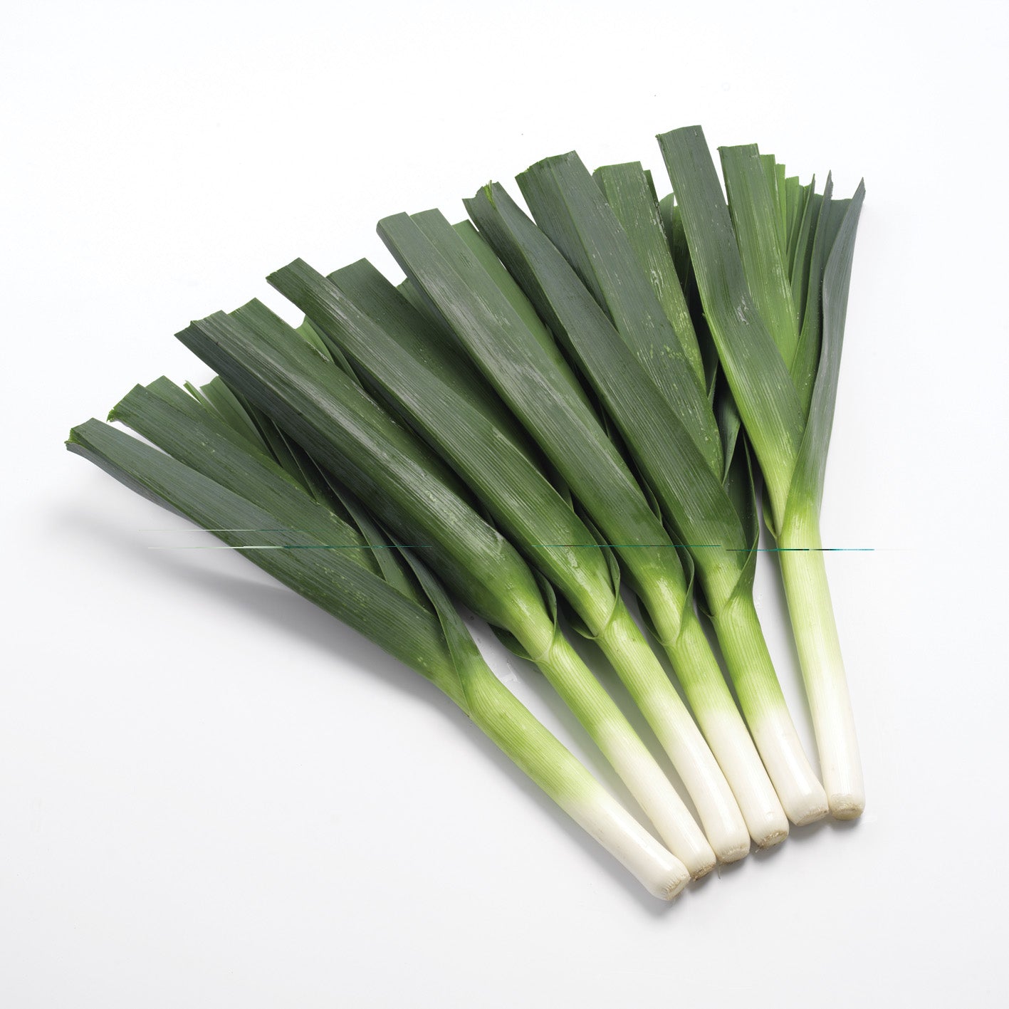 Megaton Pelleted Leek Hybrid