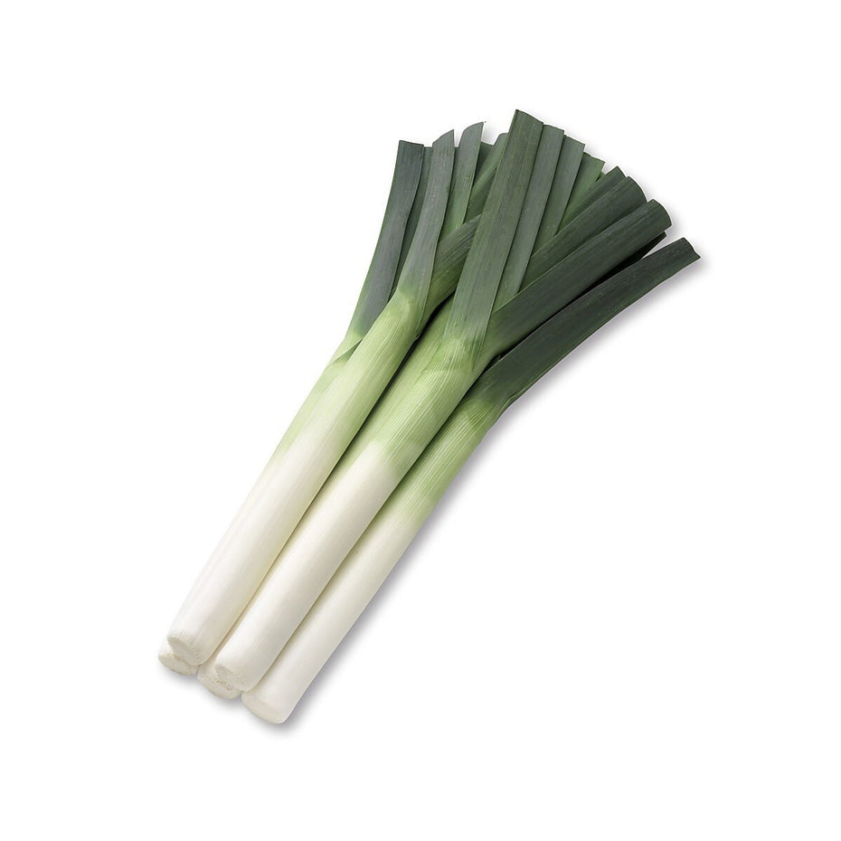 Leek Seeds | Stokes Seeds