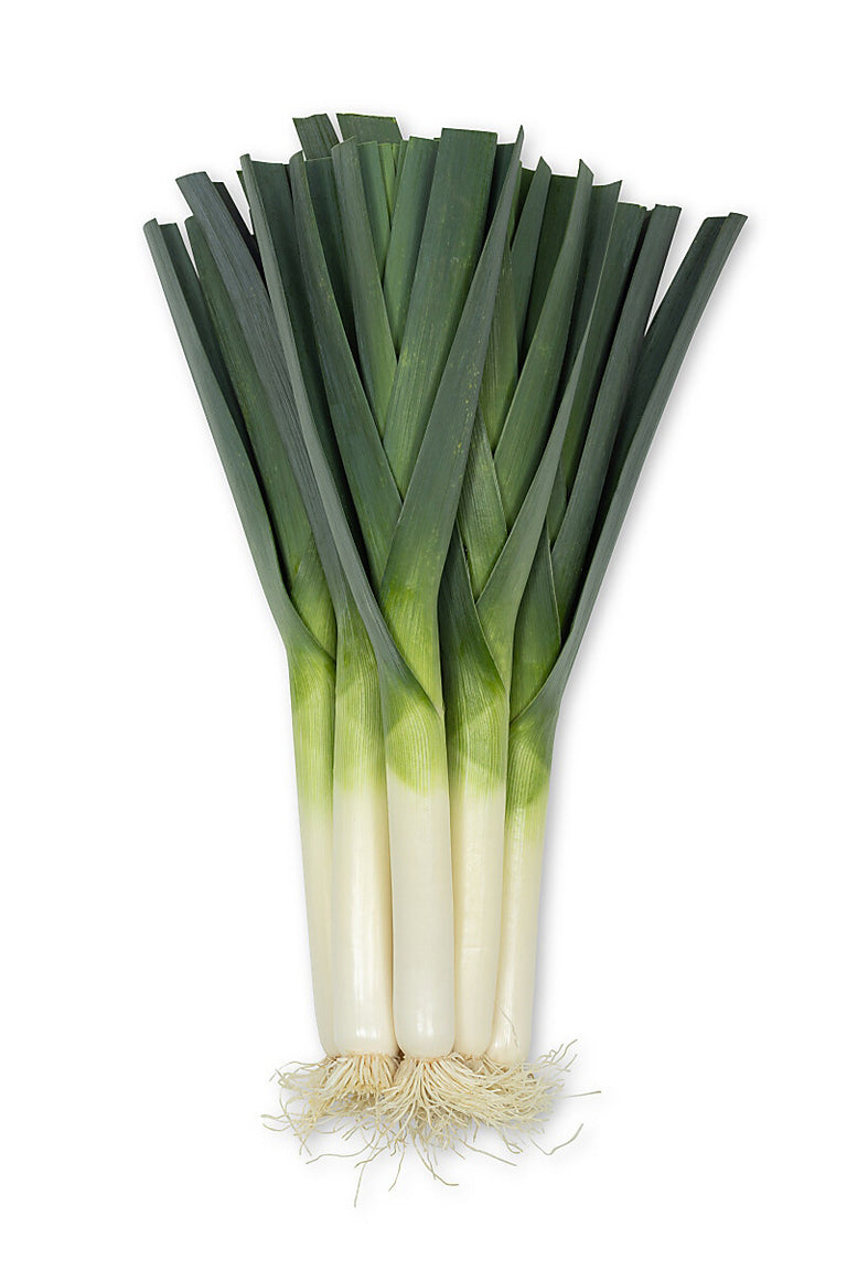 Maxton Pelleted Leek Hybrid