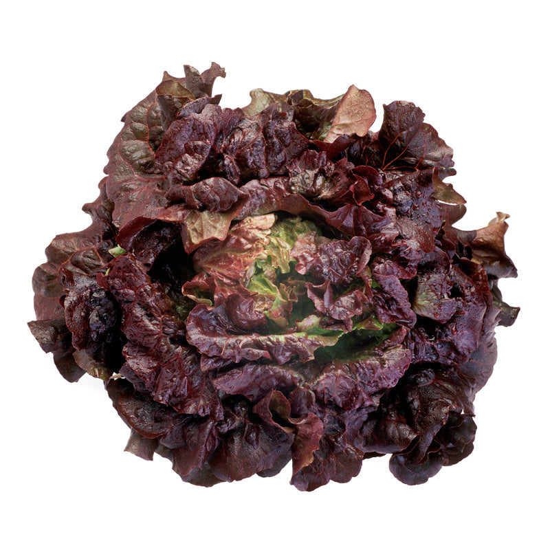 Cherokee Pelleted Lettuce