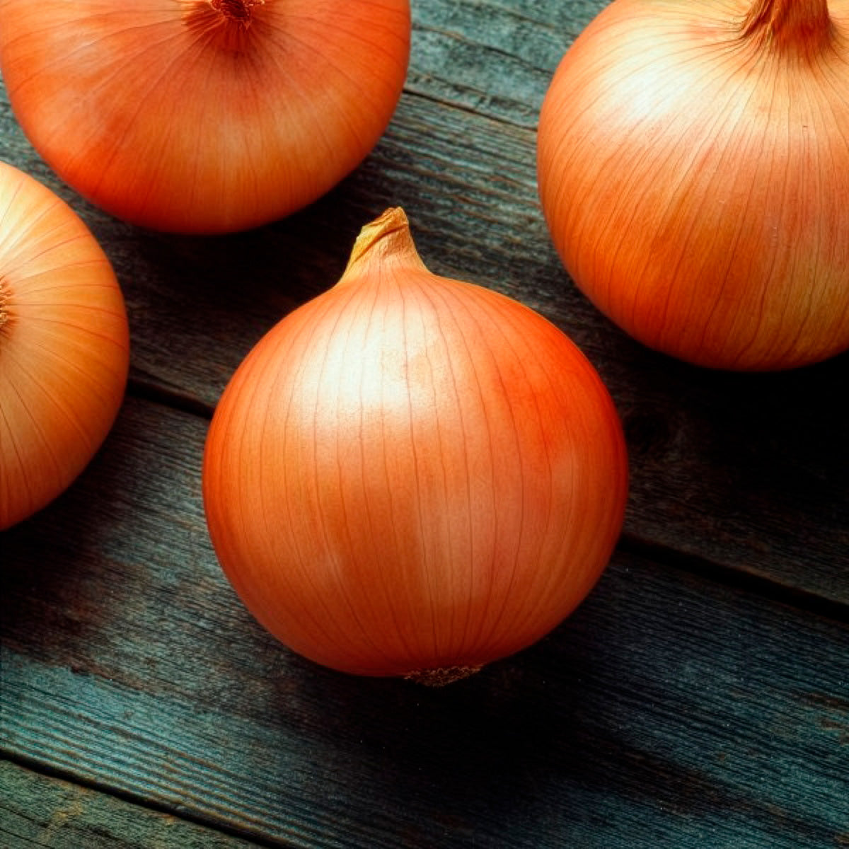 Candy Pelleted Onion Hybrid