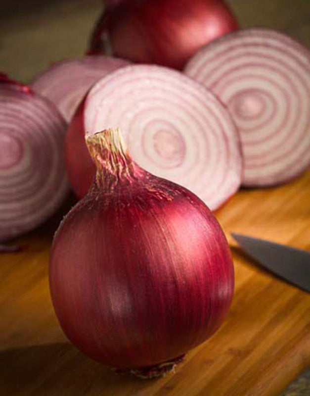 Ruby Ring Onion Hybrid