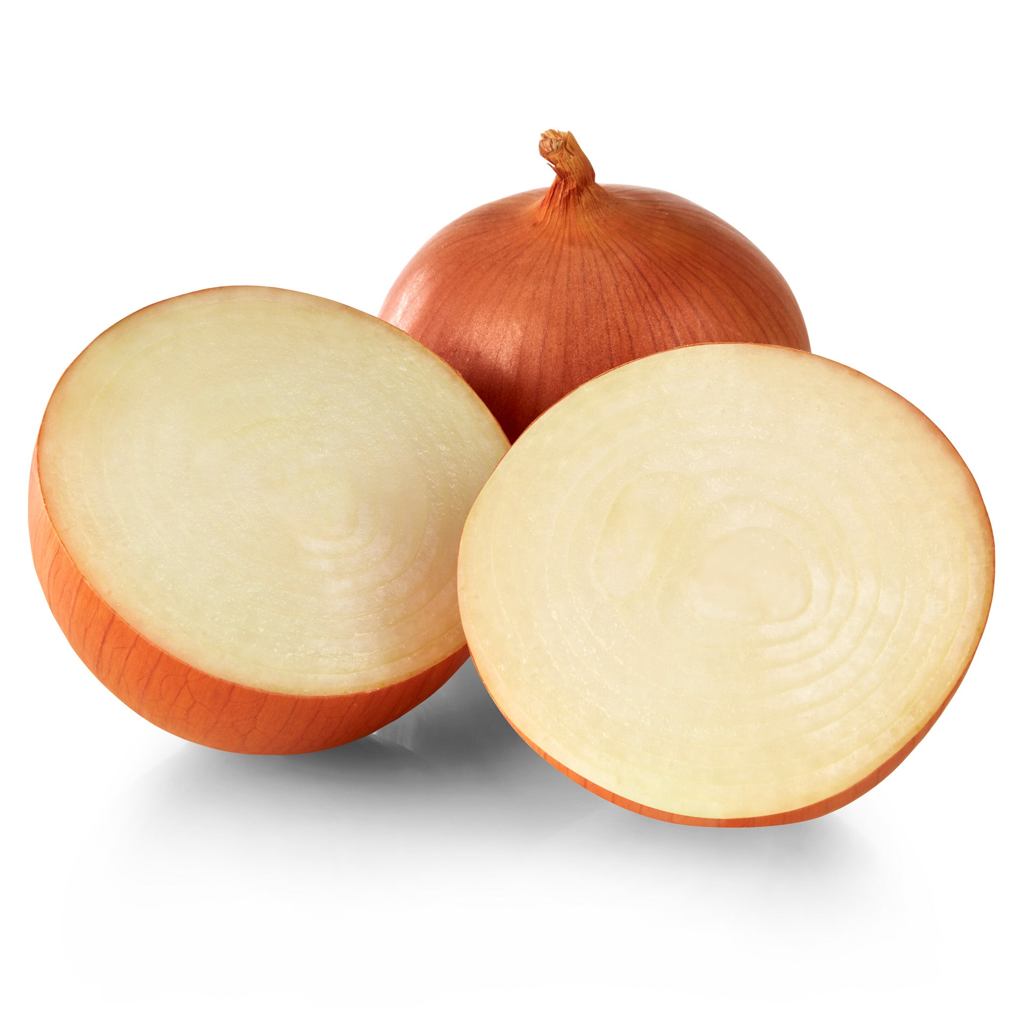 Catskill  Onion Hybrid