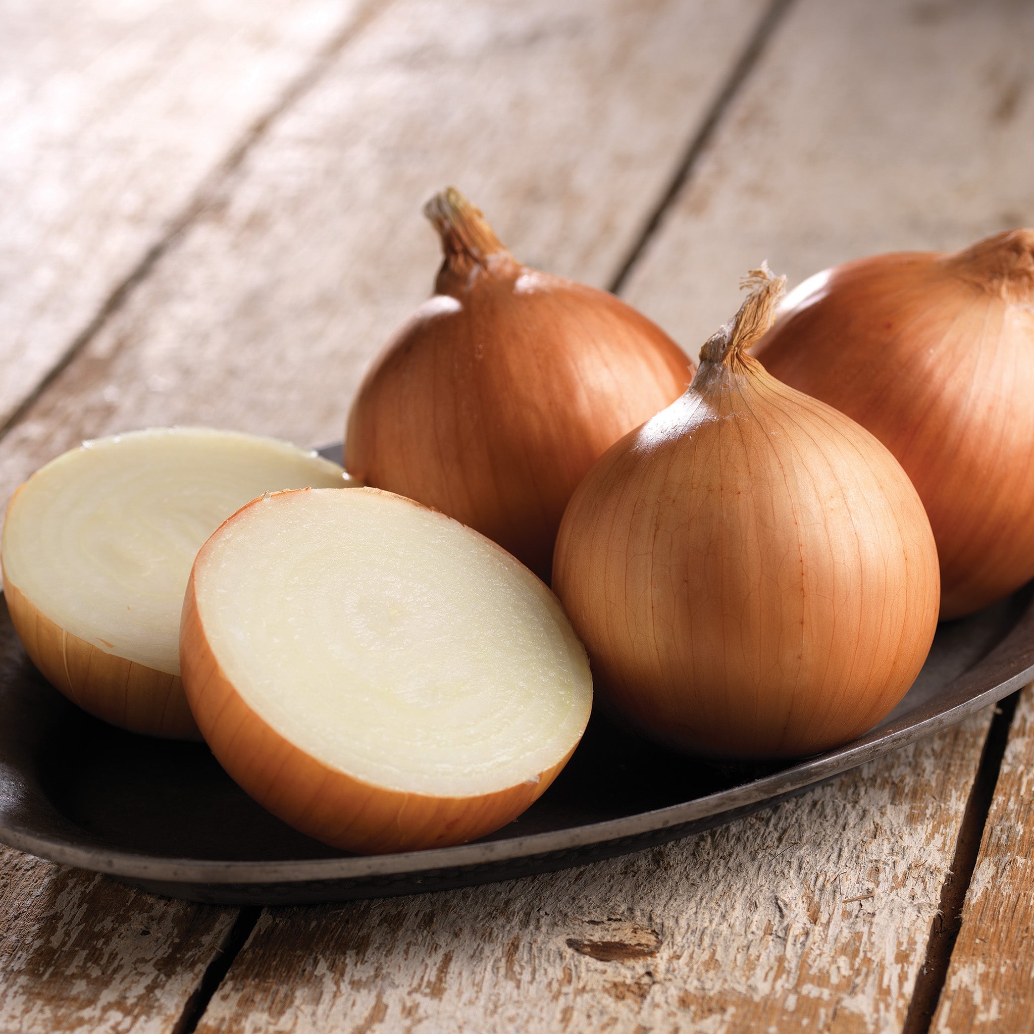 Outlander Onion Hybrid