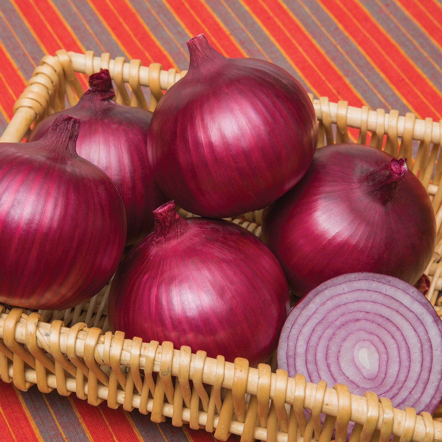 Rubillion Onion Hybrid