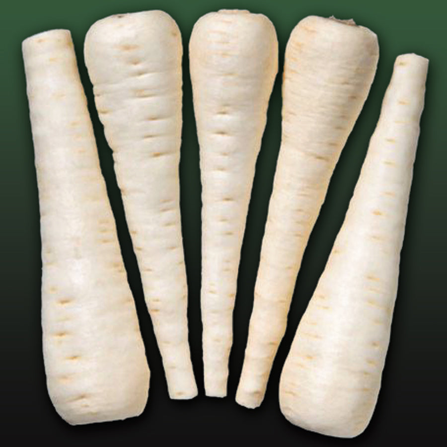 Albion Untreated Parsnip Hybrid