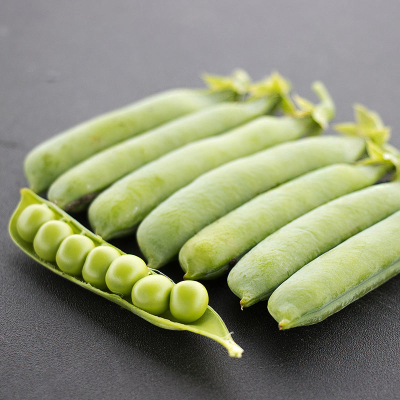 Bolero Peas
