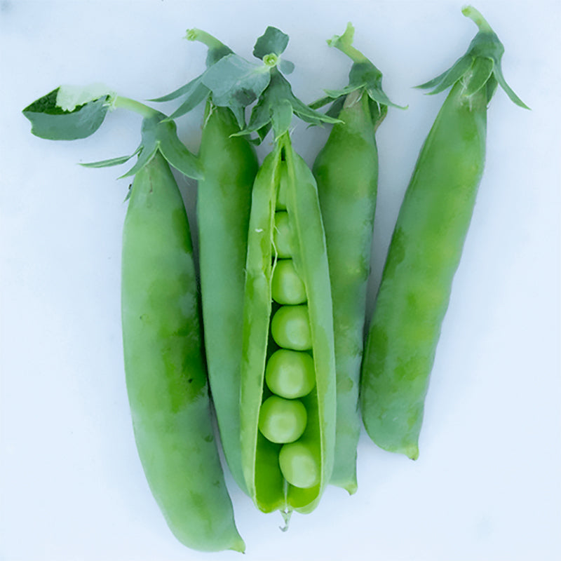 Short Story Peas