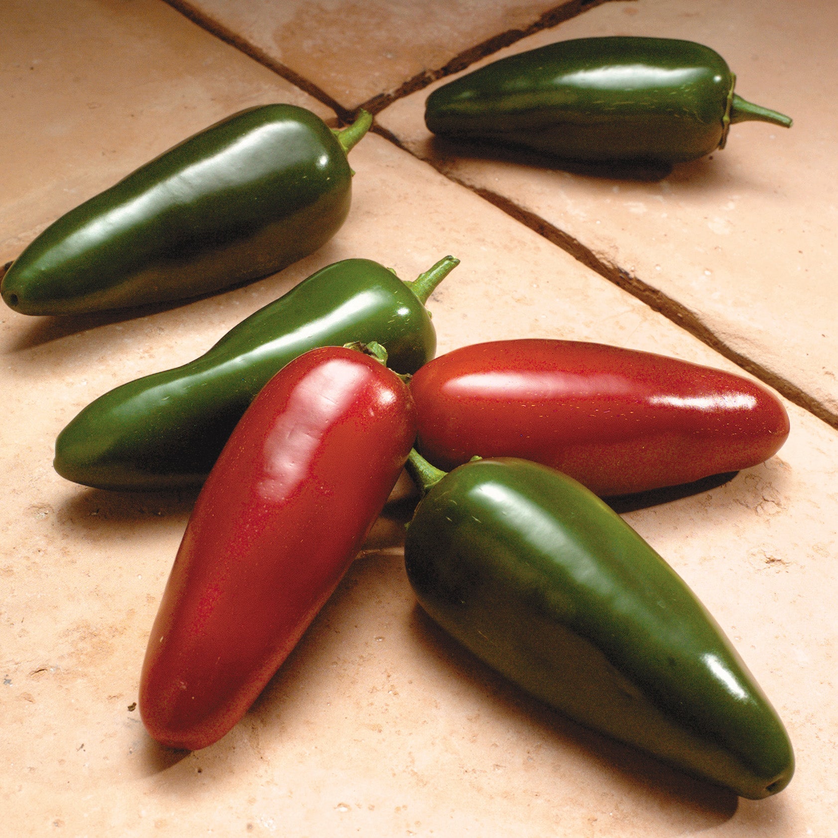 Jalapeno M Hot Pepper