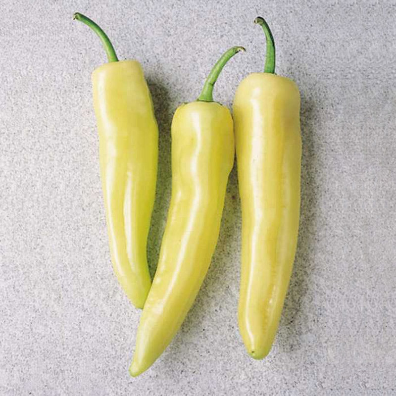 Inferno Hot Pepper Hybrid