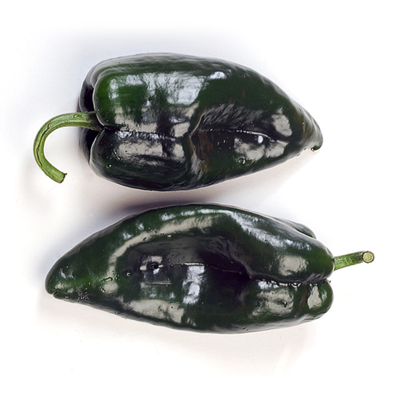 Hitman Ancho Hot Pepper Hybrid