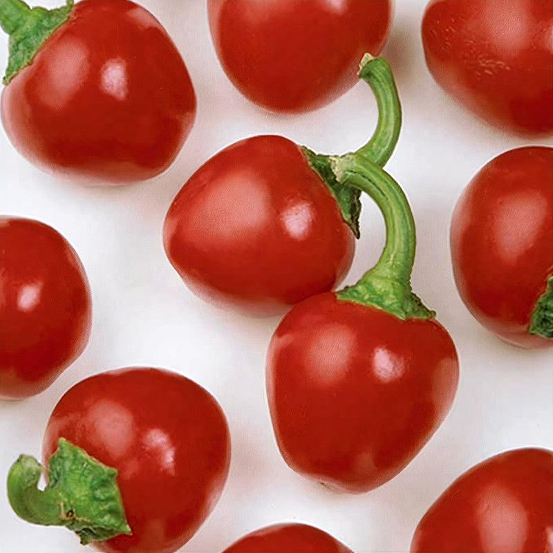 Cherry Pick Sweet Pepper Hybrid