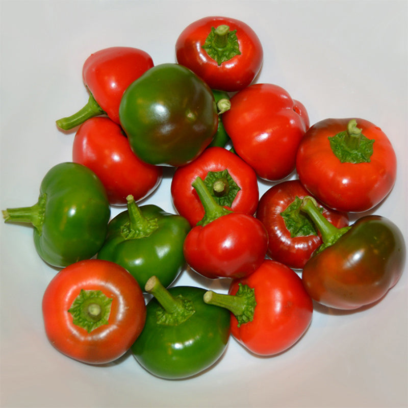 Flat Cherry Hot Untreated Pepper Hybrid