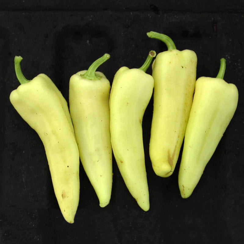 Super Hungarian Wax Untreated Hot Pepper Hybrid