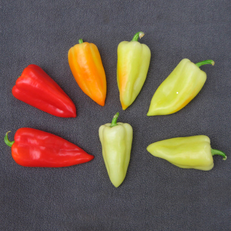 Jumbo Stuff Untreated Sweet Pepper Hybrid