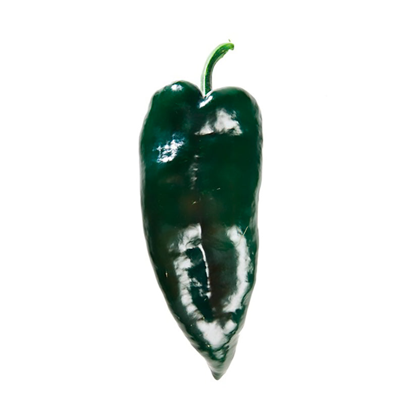 Don Matias Ancho Hot Pepper Hybrid
