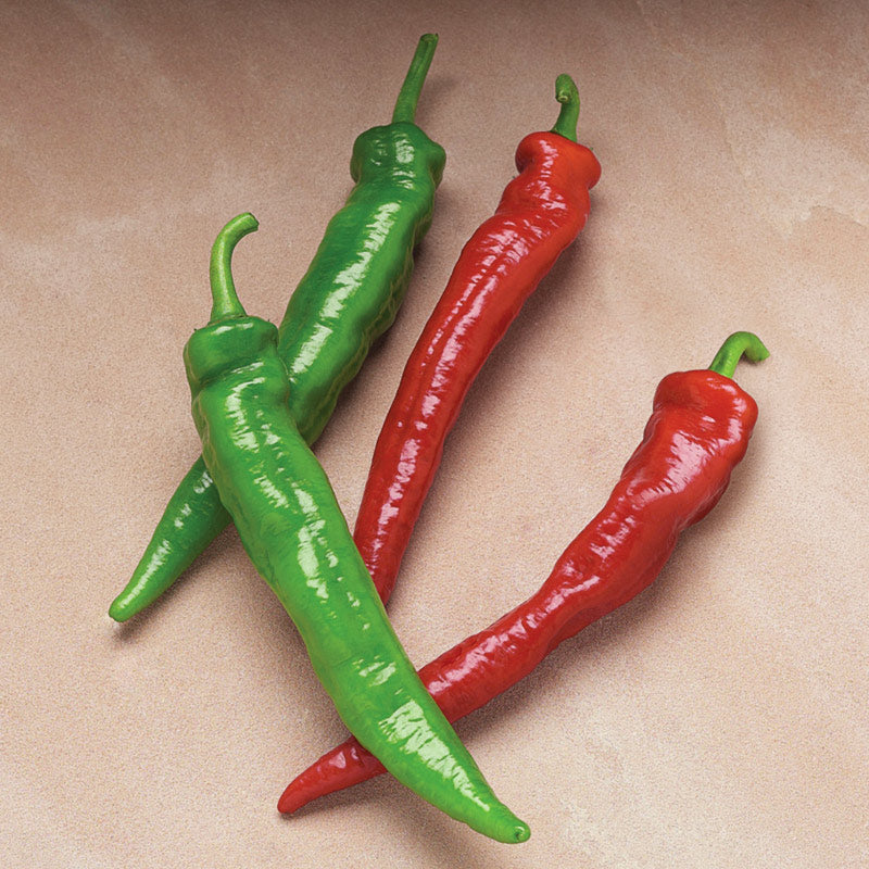 Arapaho Hot Pepper Hybrid