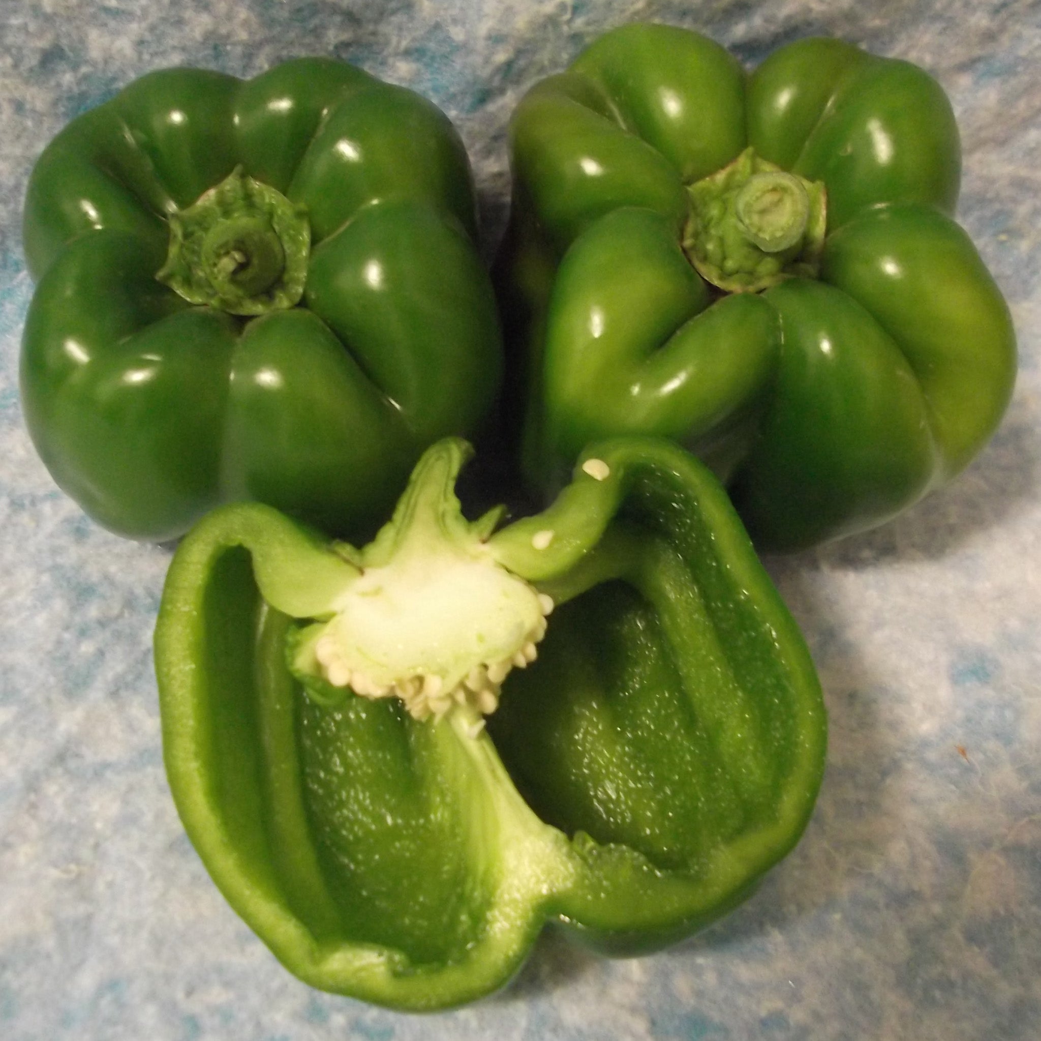 California Wonder Sweet Pepper
