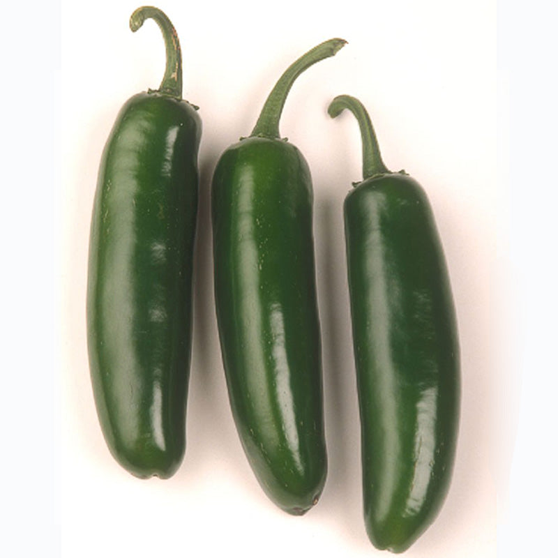 Diamondbacks Pepper Pepper Seeds – Stokes Seeds, Limited