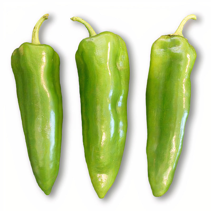 Sweet Delilah Pepper Hybrid